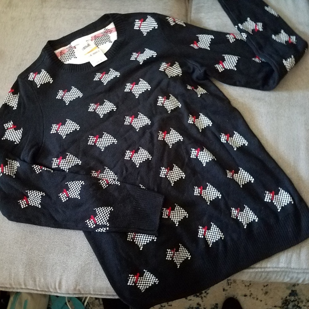 Preppy Academia sweater